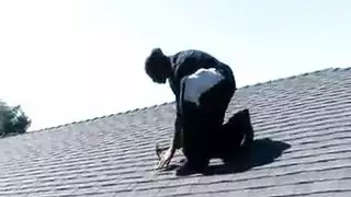 أجمال بدوية