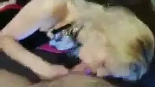 نبيك عربي جزاؤري